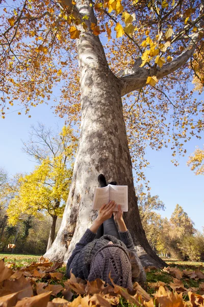 秋の公園で寝転がって本を読む女 — ストック写真