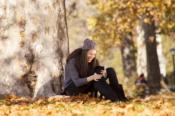 Woman in park playing with stray dog — Stock Photo, Image