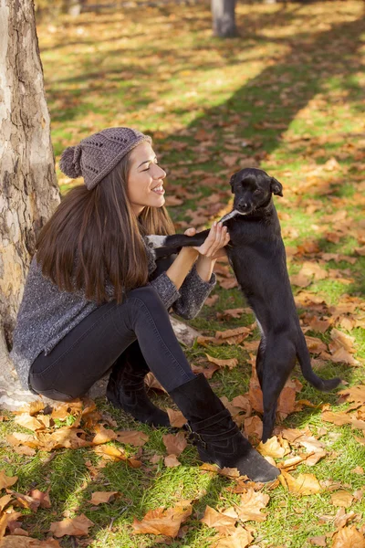 Жінка в парку грає з бродячою собакою — стокове фото