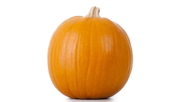 Calabaza aislada en blanco — Foto de Stock