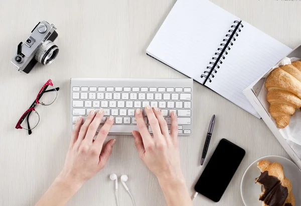 Kvinnehender som skriver på tastatur – stockfoto