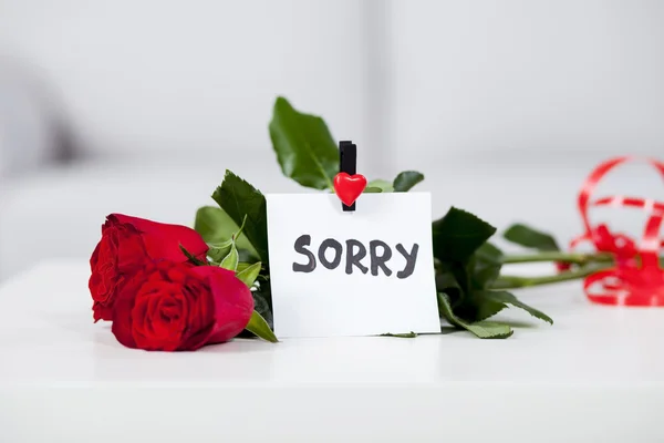 Rote Rosen mit Hinweis sorry — Stockfoto