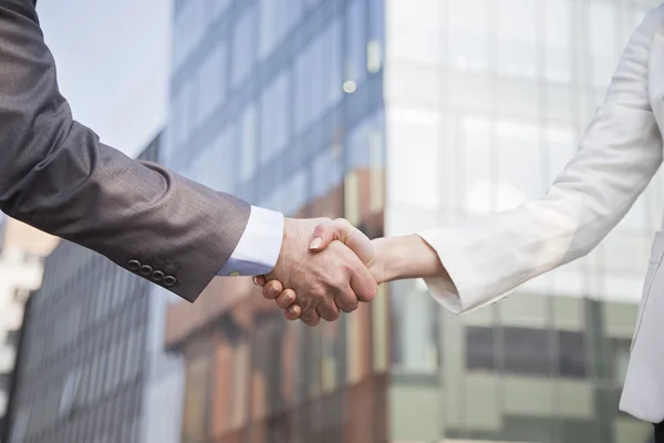 Businesswoman and businessman shaking hands — Stock Photo, Image