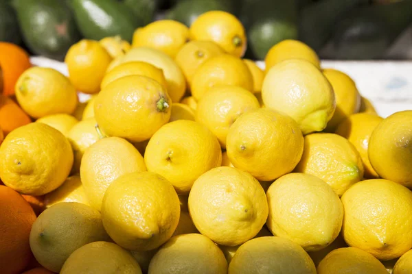 Citrons au marché fermier — Photo