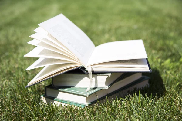 Książki ułożone w trawie — Zdjęcie stockowe