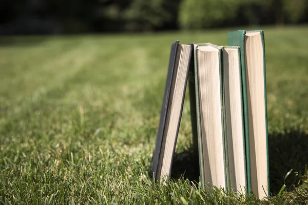 Bücher im Gras gestapelt — Stockfoto