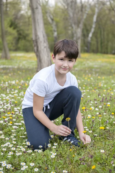 Gutt plukke blomster – stockfoto