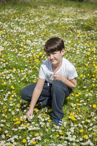 Хлопчик збирання квіти — стокове фото