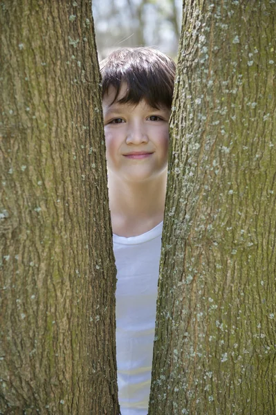 Gutt som ser mellom to trær – stockfoto