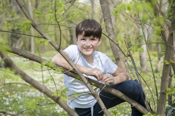 微笑在树上的男孩 — 图库照片