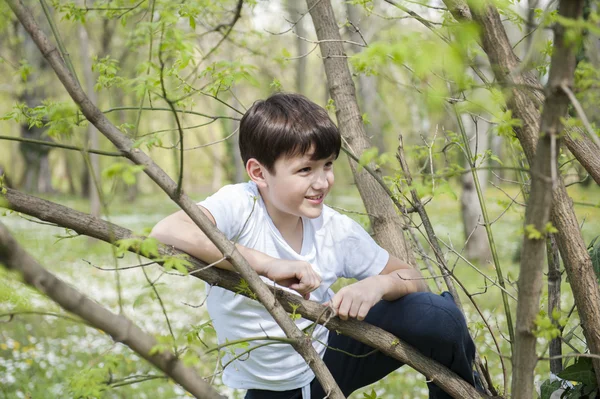 Αγόρι αναρρίχηση στο δέντρο — Φωτογραφία Αρχείου