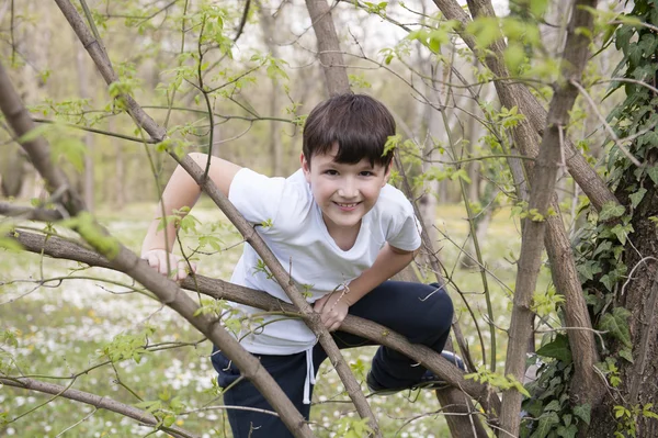 Çocuk ağaca tırmanmak — Stok fotoğraf