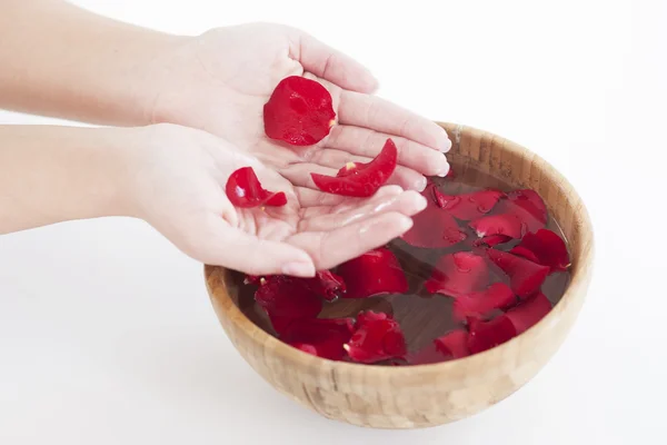 Woman hands with wooden bowl — Stock Photo, Image