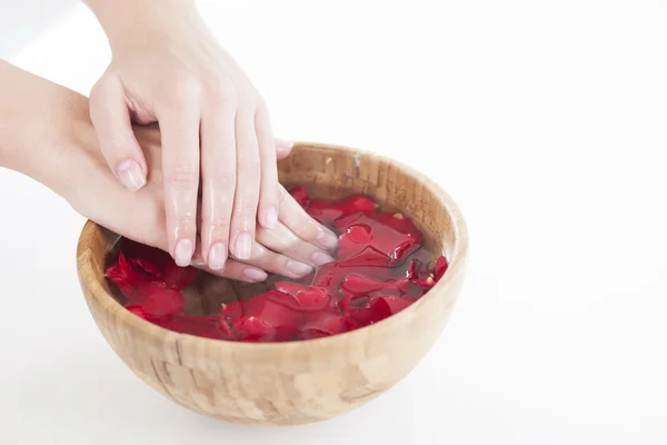 Руки Spa.Manicure концепции. Женские руки с деревянной миской воды с красными лепестками роз — стоковое фото