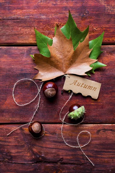 Барвисті листя на дерев'яній дошці — стокове фото