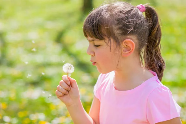 Chica soplando diente de león en el parque — Foto de Stock