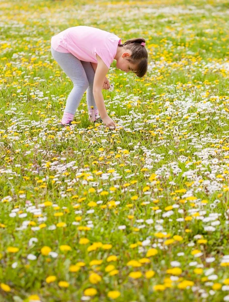 Girl picking flowers in park — Stock Photo, Image