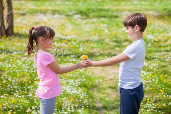 Gutt gir blomster til jente – stockfoto