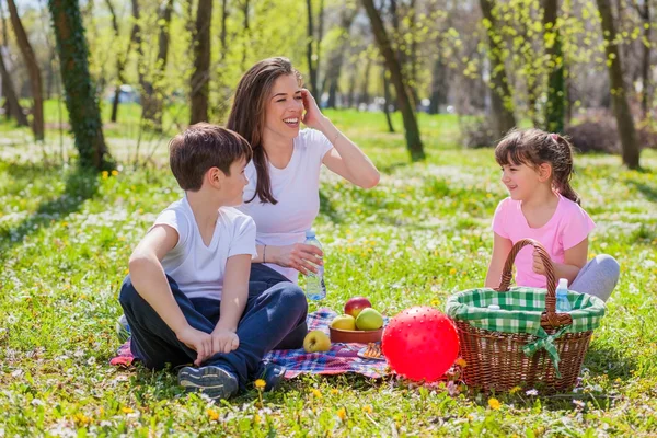 母亲和儿童有野餐 — 图库照片