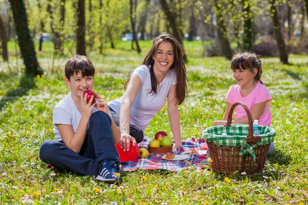 Moeder met kinderen met picknick — Stockfoto