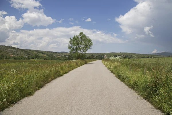Mała wieś asfaltową przez zielone pola i chmury — Zdjęcie stockowe