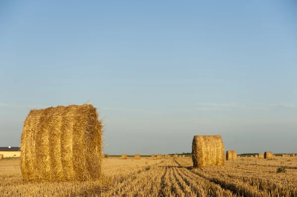 Champ avec balles de paille au crépuscule — Photo