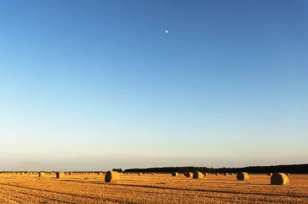 Campo con fardos de paja al atardecer y luna al cielo — Foto de Stock