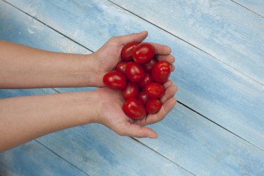 Red organic tomatoes in hands with blue wooden board in background clipart