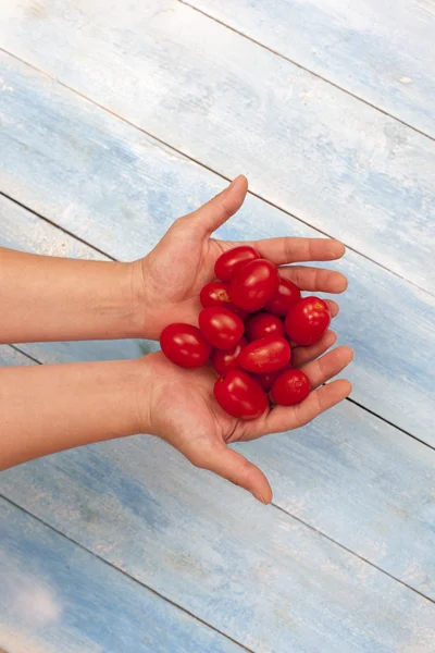 Tomates orgânicos vermelhos em mãos — Fotografia de Stock