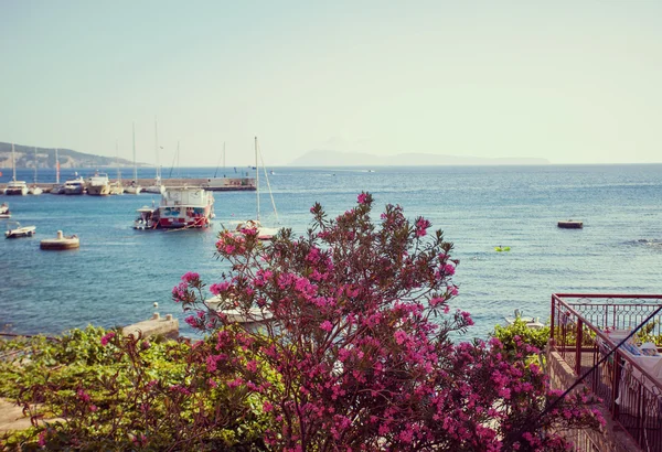 Vista al mar desde el balcón con flores — Foto de Stock