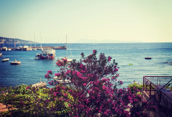 シーサイド バルコニーからの眺め 青い海とピンクの花 — ストック写真