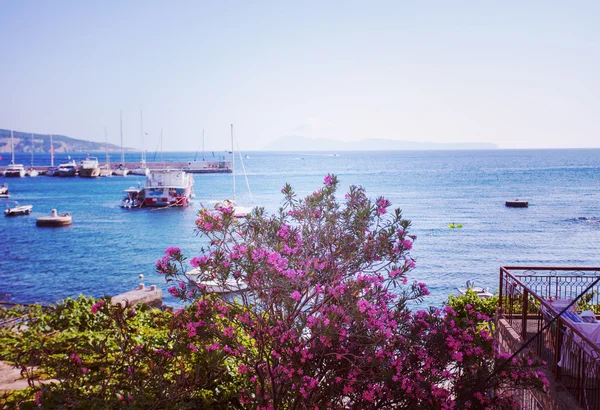 Havsutsikt Från Balkongen Blå Havet Och Rosa Blommor — Stockfoto