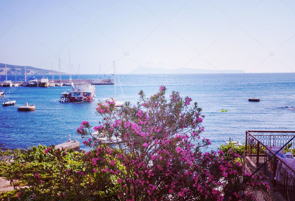 Seaside view from balcony. Blue sea and pink flowers