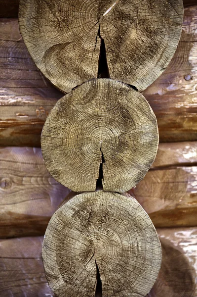 Textura de madeira log — Fotografia de Stock