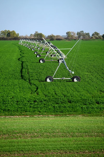 Arrosage par pivot d'irrigation sur champ de légumes — Photo