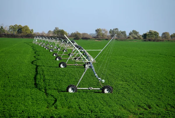 Irrigation pivot watering on vegetable field — Stock Photo, Image