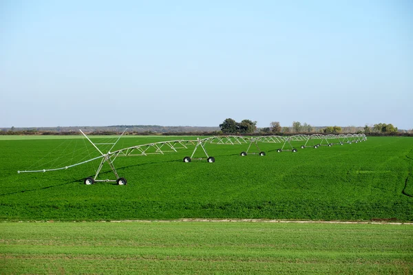 Arrosage par pivot d'irrigation sur champ de légumes — Photo