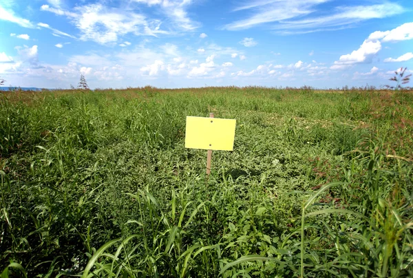 Tanda kardus di field — Stok Foto