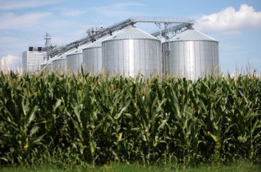 Corn dryer silos clipart