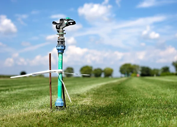 Erba giardino primavera spruzzare acqua di fila — Foto Stock