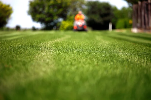 Man met grasmaaier — Stockfoto