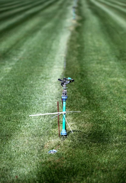 Trawa ogród wiosną posypać wody rzędu — Zdjęcie stockowe