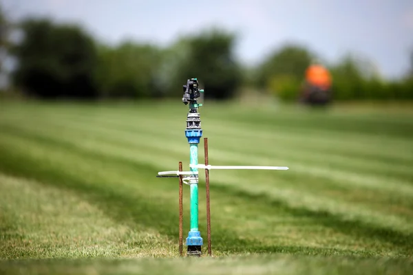 Herbe jardin printemps arroser l'eau dans une rangée — Photo