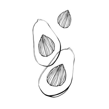  Beyaz arka planda siyah beyaz avokado. Avokado tarzı defans. En Küçük Avokado