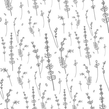 Beyaz üzerine siyah beyaz lavanta deseni. Lavanta hattı minimumda. Kaynak deseni