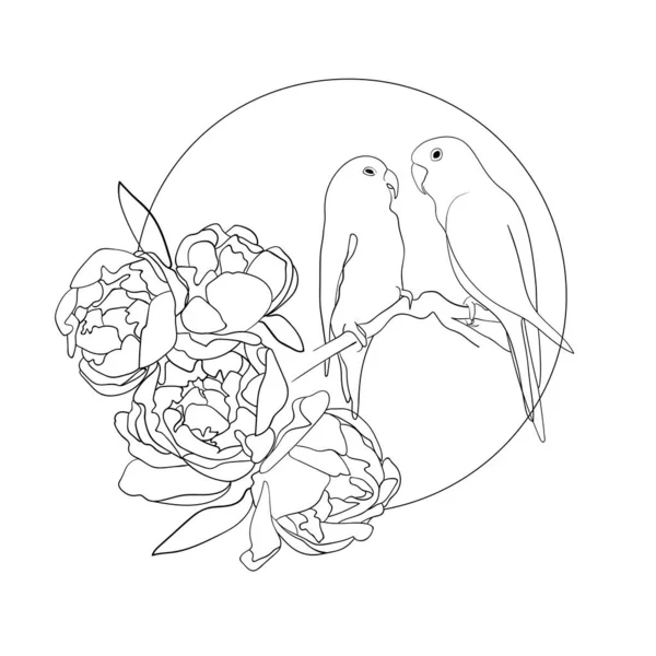 Parrots on a branch in a Circle with Peonies on a white background. Frame with Peonies and Birds minimal illustration. Wedding spring frame. Plants and flowers