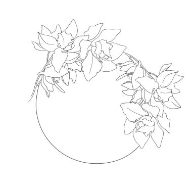   Orkide çemberi çiçekleri siyah beyaz yayılır. Beyaz üzerine bahar çiçekleri. El çizimi orhid çizimi. Çember içinde orkide dalı