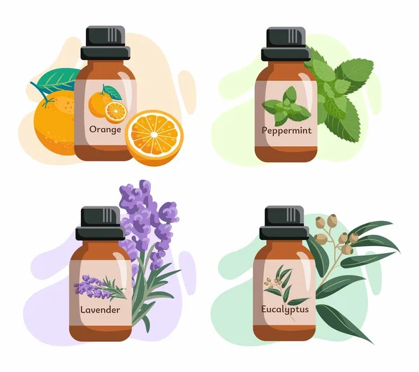Set Glass Bottles Essential Oils Orange Eucalyptycus Peppermint Tea Tree — Stock Vector