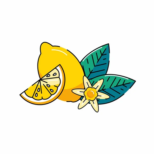Logo Cytryny Świeże Owoce Cytryny Sezonie Letnim Letni Owoc Kwiat — Wektor stockowy