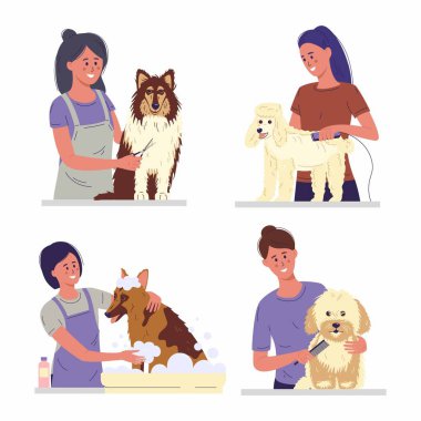 Profesyonel berber köpeği seti. Evcil hayvan kürküyle ilgilenen bir kadın, kürk kesme, fırçalama, çamaşır. Çizgi film tarzında vektör illüstrasyonu